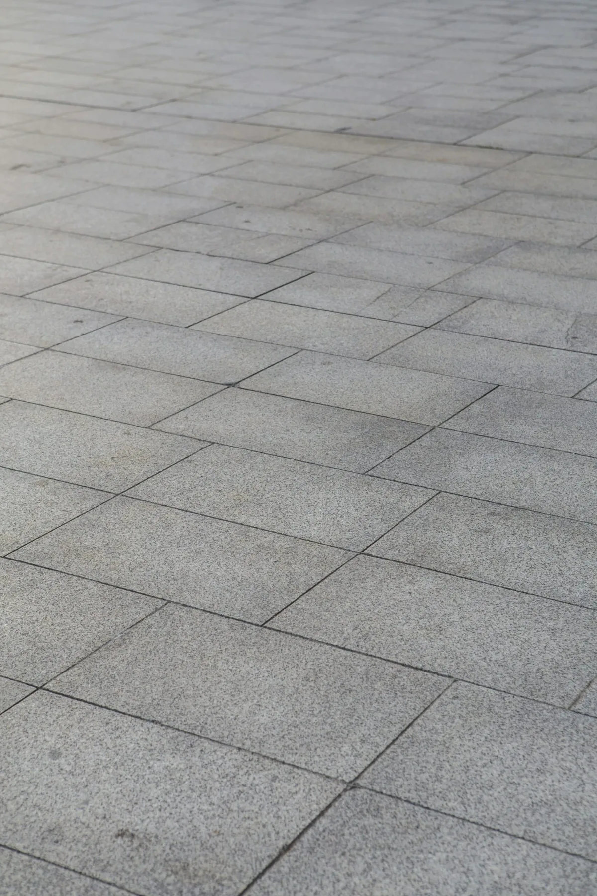 Dernière chance avant les pluies : installez ces pavés perméables pour un jardin sec et bien drainé tout l’été