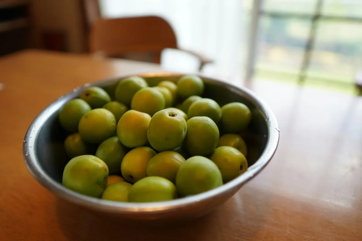 Fondant aux reines-claudes et poudre d’amandes : recette, astuces de cuisson et choix des fruits